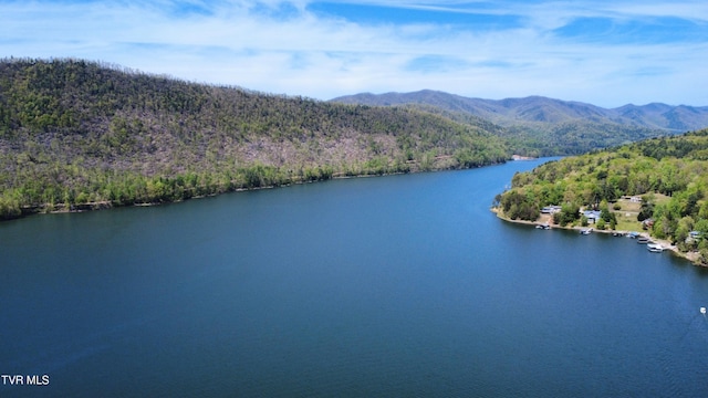 drone / aerial view with a water and mountain view and a view of trees