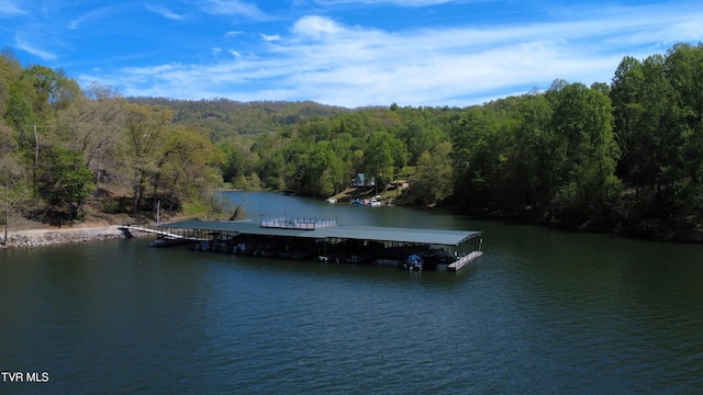 view of water feature featuring a view of trees and a floating dock