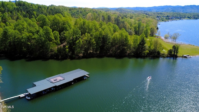 bird's eye view featuring a wooded view and a water and mountain view
