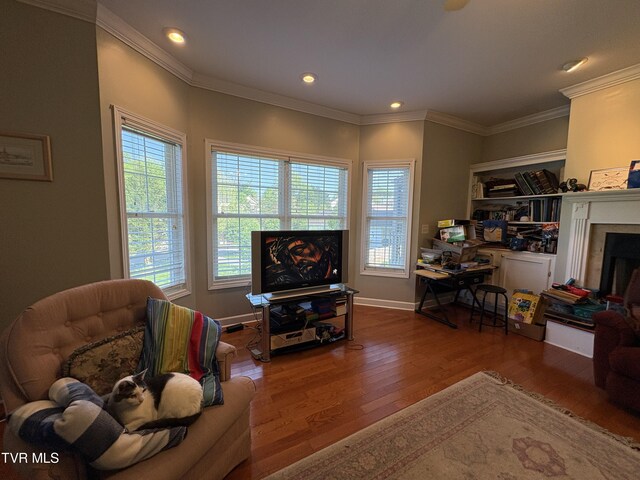 142 Oakwell Ln, Jonesborough, TN 37659 - living area featuring recessed lighting, a healthy amount of sunlight, wood finished floors, and a fireplace