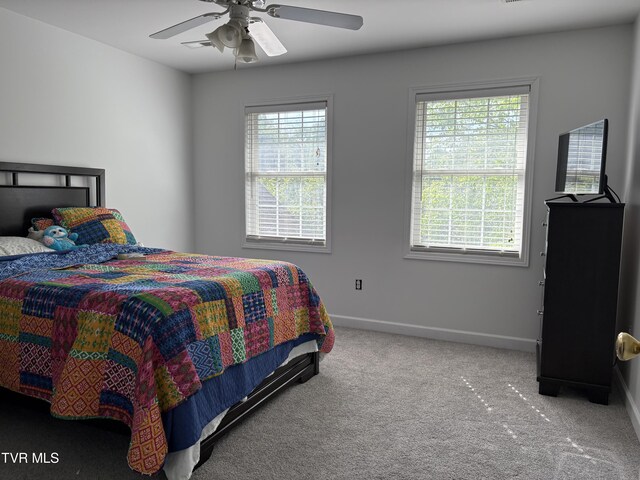 142 Oakwell Ln, Jonesborough, TN 37659 - bedroom with a ceiling fan, carpet flooring, and baseboards