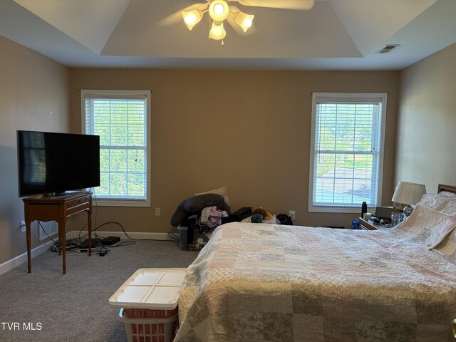 142 Oakwell Ln, Jonesborough, TN 37659 - bedroom featuring carpet flooring, a raised ceiling, visible vents, and multiple windows