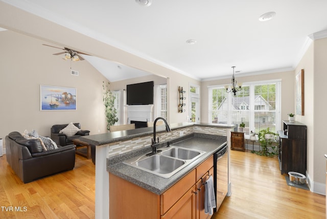 288 Max Jett Rd, Johnson City, TN 37601 - kitchen featuring a sink, light wood-style floors, dishwasher, and open floor plan