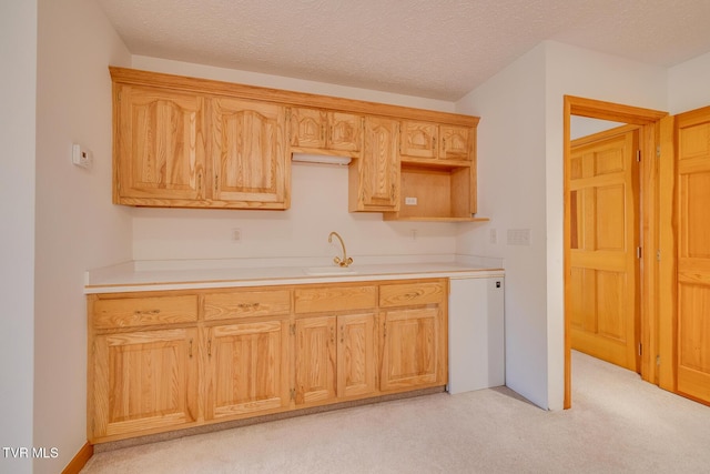 kitchen featuring light colored carpet, light countertops, a sink, and a textured ceiling