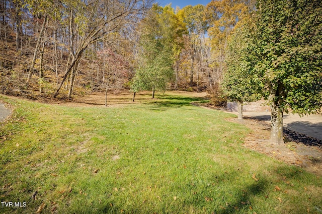 view of yard