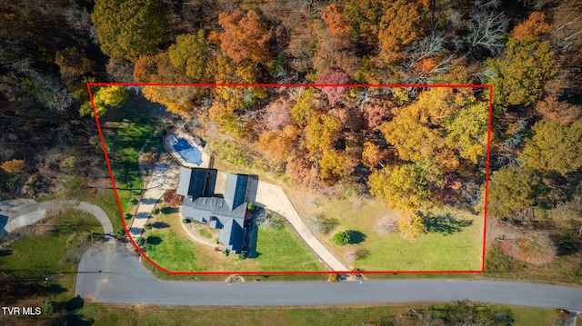 bird's eye view