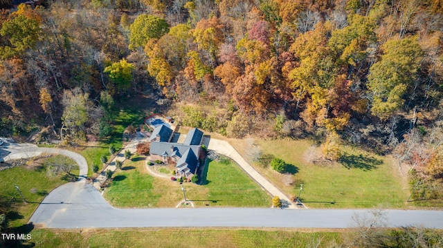 drone / aerial view
