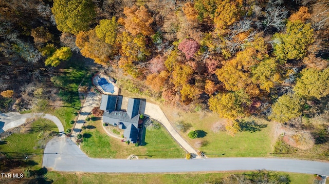 drone / aerial view