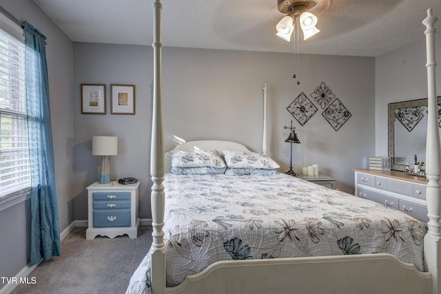 400 Sunset Dr Unit P83, Johnson City, TN 37604 - bedroom featuring carpet floors, baseboards, and ceiling fan