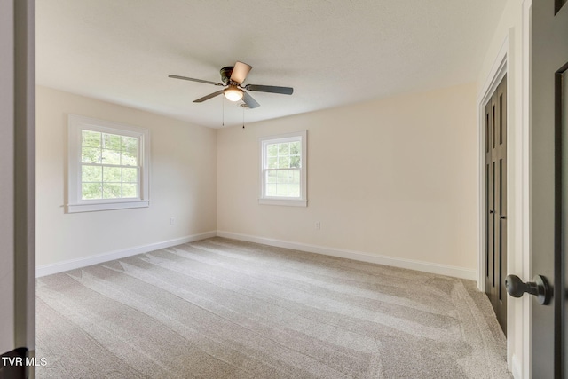 spare room with plenty of natural light, carpet flooring, and baseboards