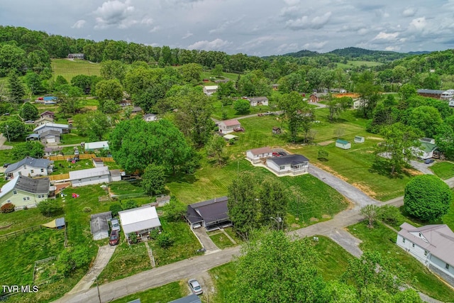 drone / aerial view