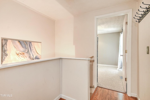 19032 Woodland Hills Rd, Abingdon, VA 24210 - hallway with baseboards, wood finished floors, and crown molding