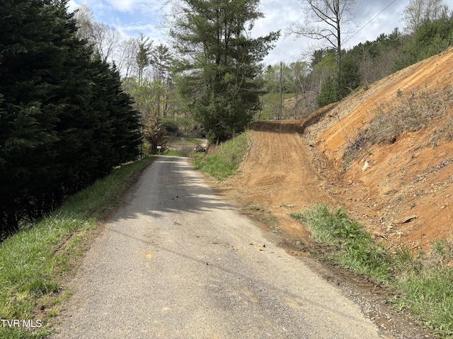 00 Joe Wallace Rd, Trade, TN 37691 - photo 2