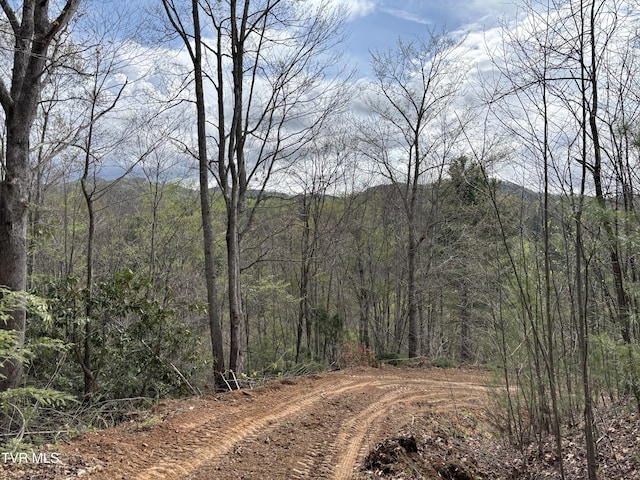 00 Joe Wallace Rd, Trade, TN 37691 - photo 3