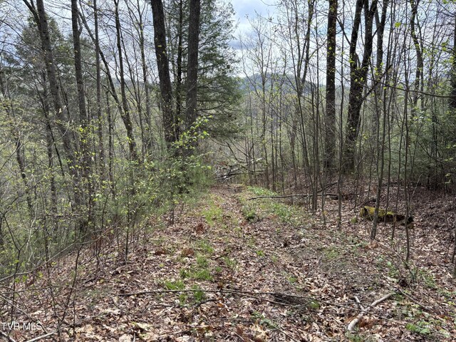 00 Joe Wallace Rd, Trade, TN 37691 - photo 4