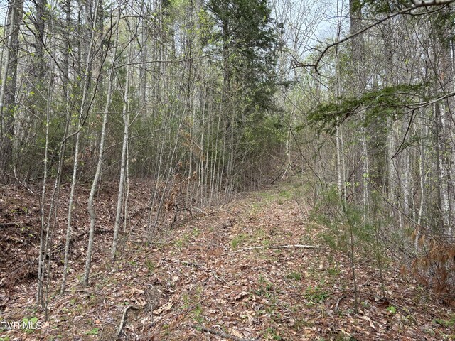 00 Joe Wallace Rd, Trade, TN 37691 - photo 5