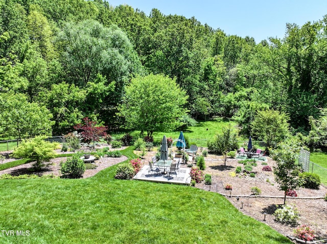 2004 Old Tusculum Rd, Greeneville, TN 37745 - view of yard with a patio, a view of trees, and fence