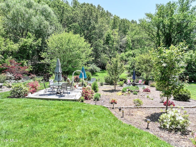 2004 Old Tusculum Rd, Greeneville, TN 37745 - view of yard featuring a patio