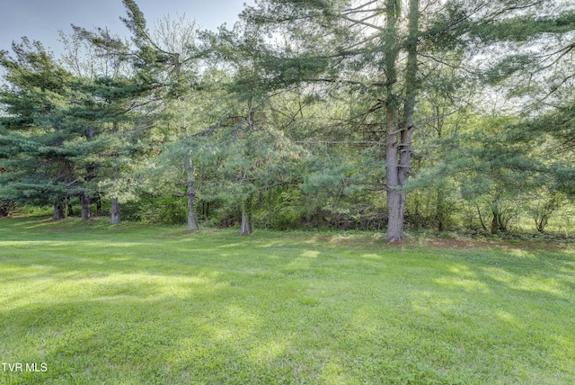 view of yard featuring a wooded view