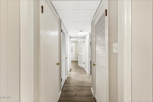 1837 Presswood Rd Unit 1837, Johnson City, TN 37604 - hall featuring baseboards and wood finished floors