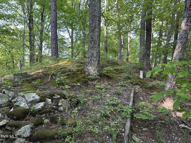 965 Mountain Trail Dr, Newport, TN 37821 - photo 21