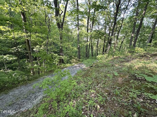 965 Mountain Trail Dr, Newport, TN 37821 - photo 23