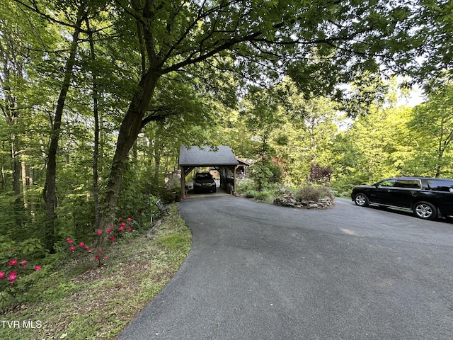 965 Mountain Trail Dr, Newport, TN 37821 - photo 34