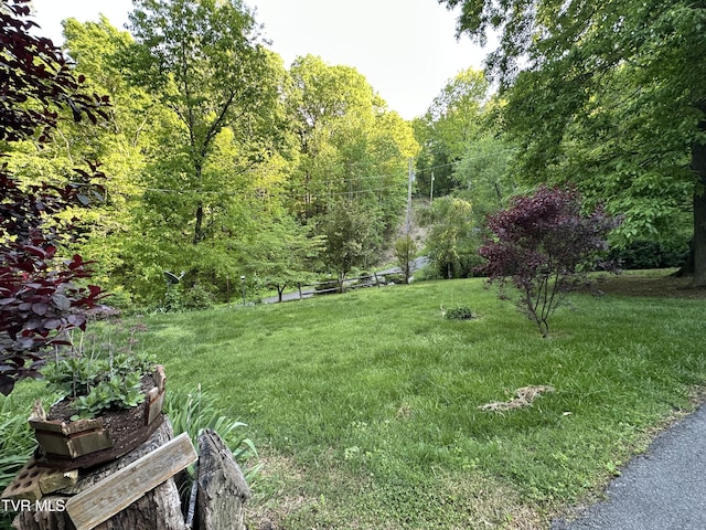 965 Mountain Trail Dr, Newport, TN 37821 - photo 35