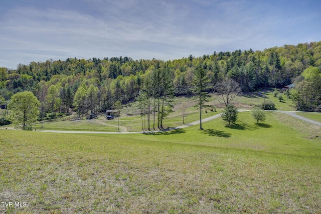 view of property's community featuring a yard