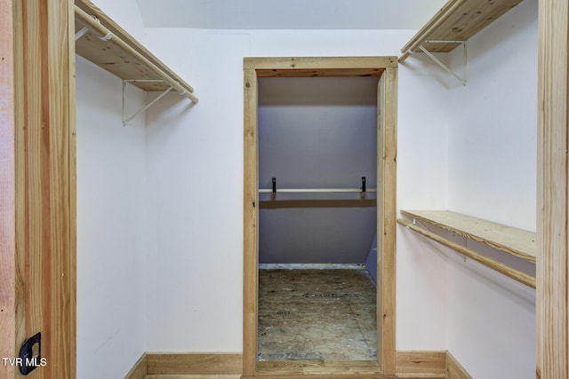 view of spacious closet