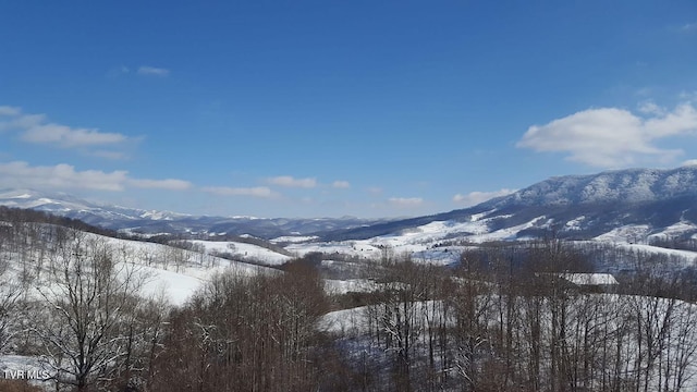 84 Deerview Ln, Lebanon, VA 24266 - property view of mountains