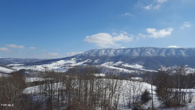 84 Deerview Ln, Lebanon, VA 24266 - view of mountain feature