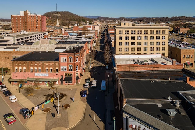 200 E Main St Unit 5, Johnson City, TN 37604 - property's view of city