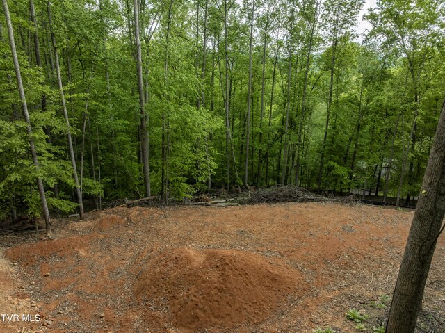 LOT6 Briarwood Rd, Kingsport, TN 37664