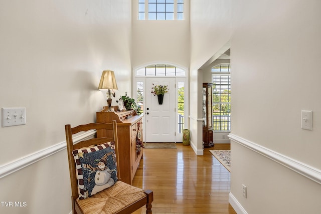 963 Beaver Creek Rd, Bluff City, TN 37618 - entryway featuring a healthy amount of sunlight, a high ceiling, and light wood-type flooring