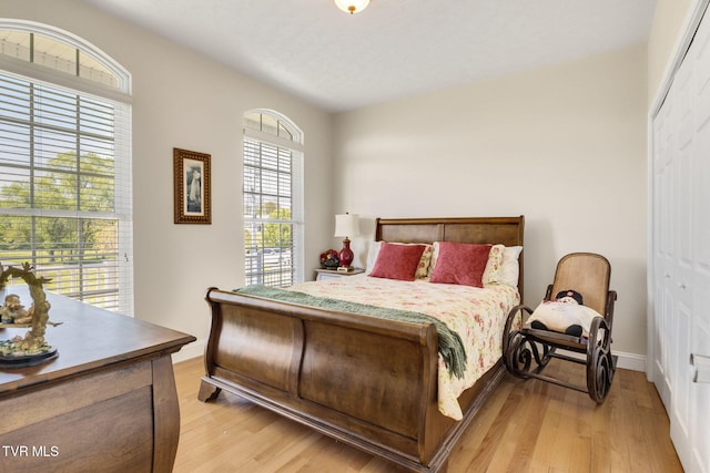 963 Beaver Creek Rd, Bluff City, TN 37618 - bedroom with a closet and light wood finished floors