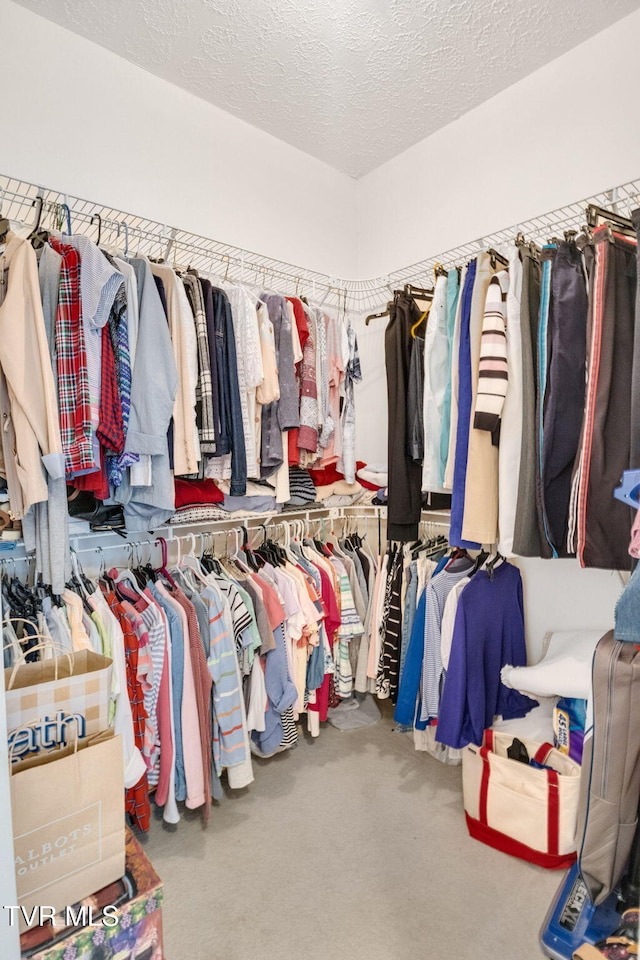 963 Beaver Creek Rd, Bluff City, TN 37618 - spacious closet with carpet floors