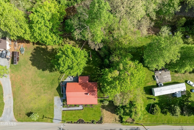 bird's eye view