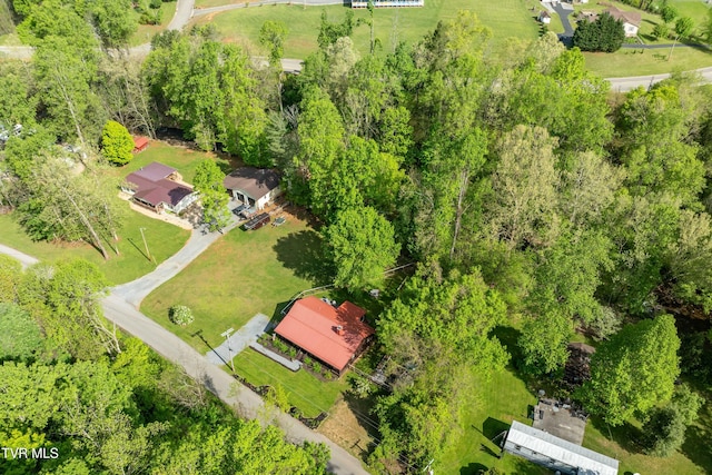 aerial view