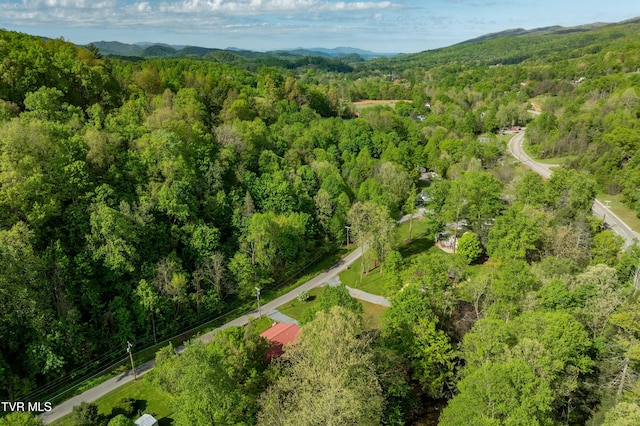 aerial view with a forest view