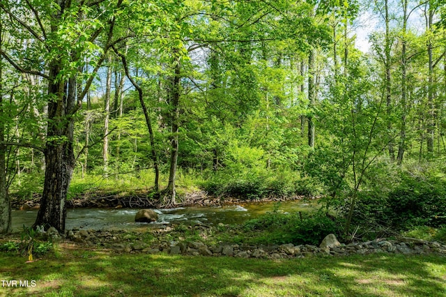 view of landscape with a forest view