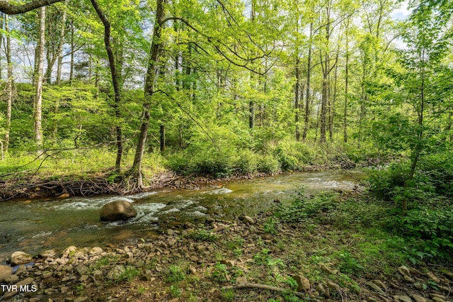 view of local wilderness