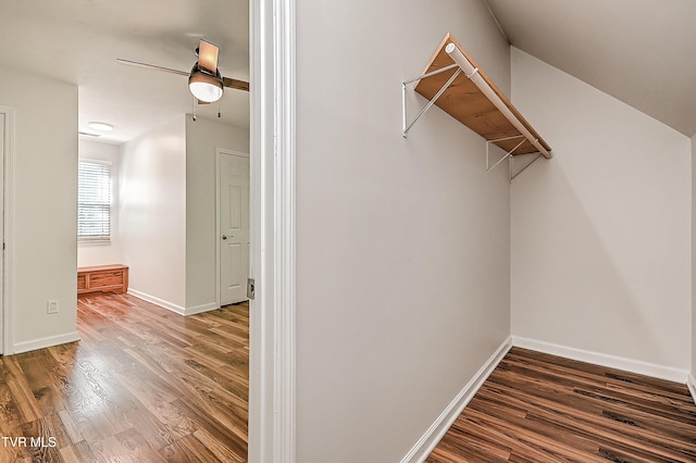 walk in closet with wood finished floors