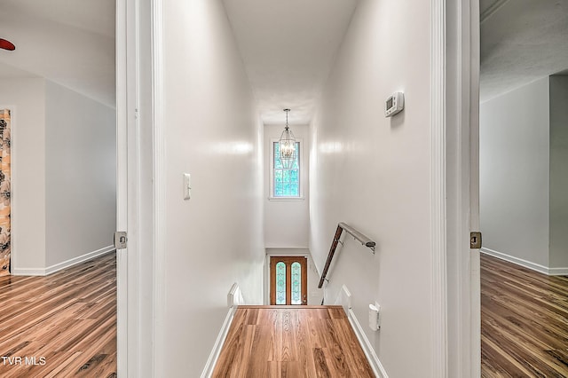 hall with plenty of natural light, wood finished floors, and an upstairs landing