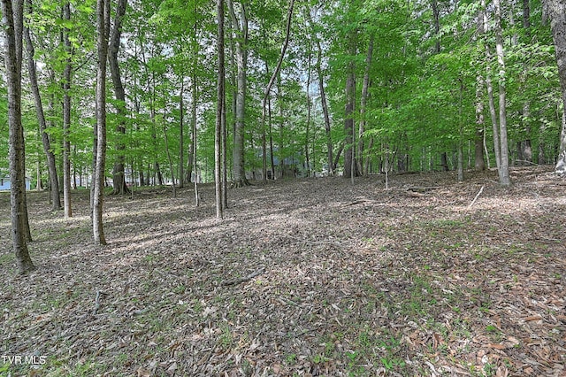 view of local wilderness with a view of trees