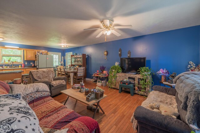 119 Seth St, Roan Mountain, TN 37687 - photo 3