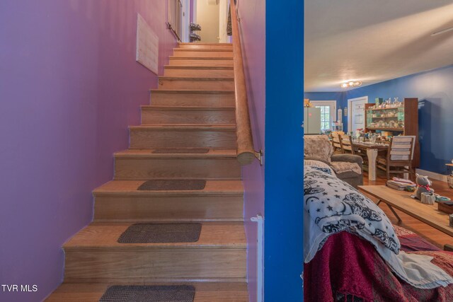 119 Seth St, Roan Mountain, TN 37687 - photo 12