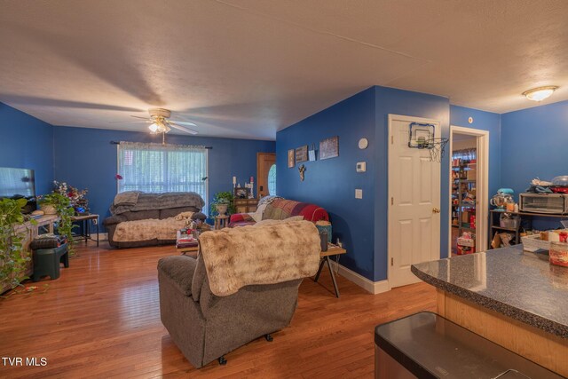 119 Seth St, Roan Mountain, TN 37687 - photo 4