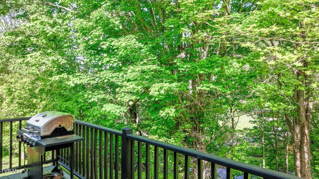 119 Seth St, Roan Mountain, TN 37687 - photo 25