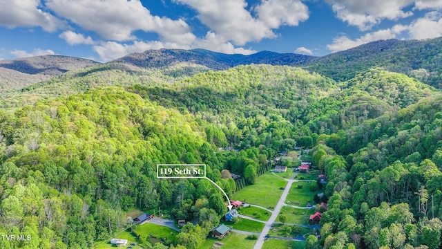 119 Seth St, Roan Mountain, TN 37687 - photo 2